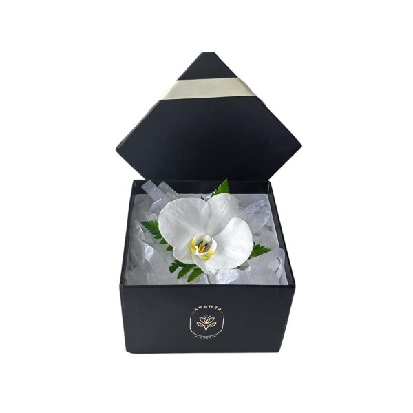 Orquídea blanca con centro amarillo