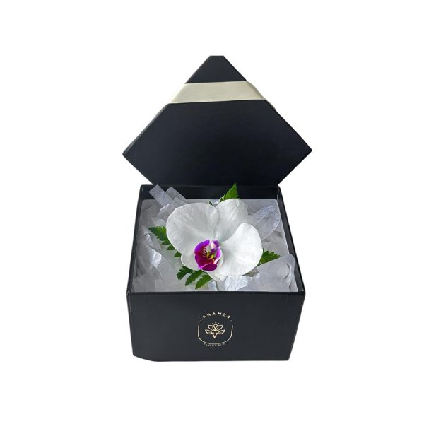 Orquídea blanca con centro lila
