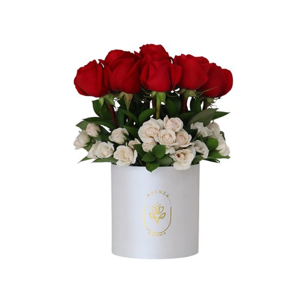 Box grande de 12 rosas rojas y mini claveles